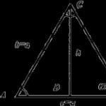 Height of the triangle at the base
