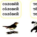 Какой слог называется ударным?