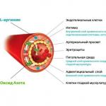 Оксид азота (I, II, III, IV, V): свойства, получение, применение